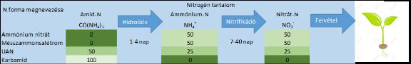 nitrogén veszteségek